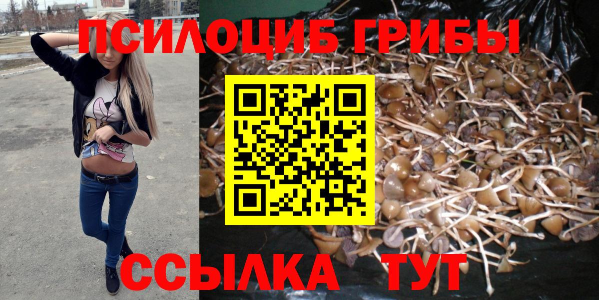 Орехово-Зуево  Галлюциногенные грибы ЛСД  Вход с VPN 